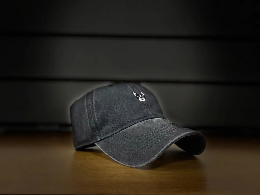 Gorra Dog - Vintage